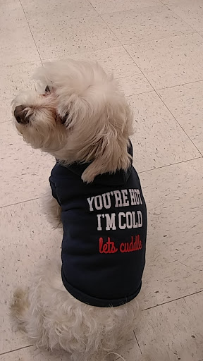 Pet Supply Store «PetSmart», reviews and photos, 857 N Val Vista Dr #106, Gilbert, AZ 85234, USA