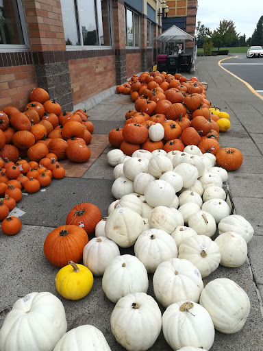 Grocery Store «Albertsons», reviews and photos, 615 Keck Dr, McMinnville, OR 97128, USA