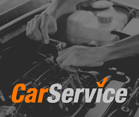 CarService