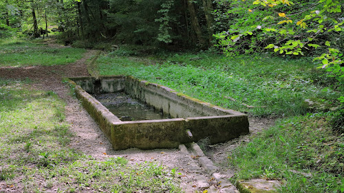 Fontaine de Brue à Éternoz