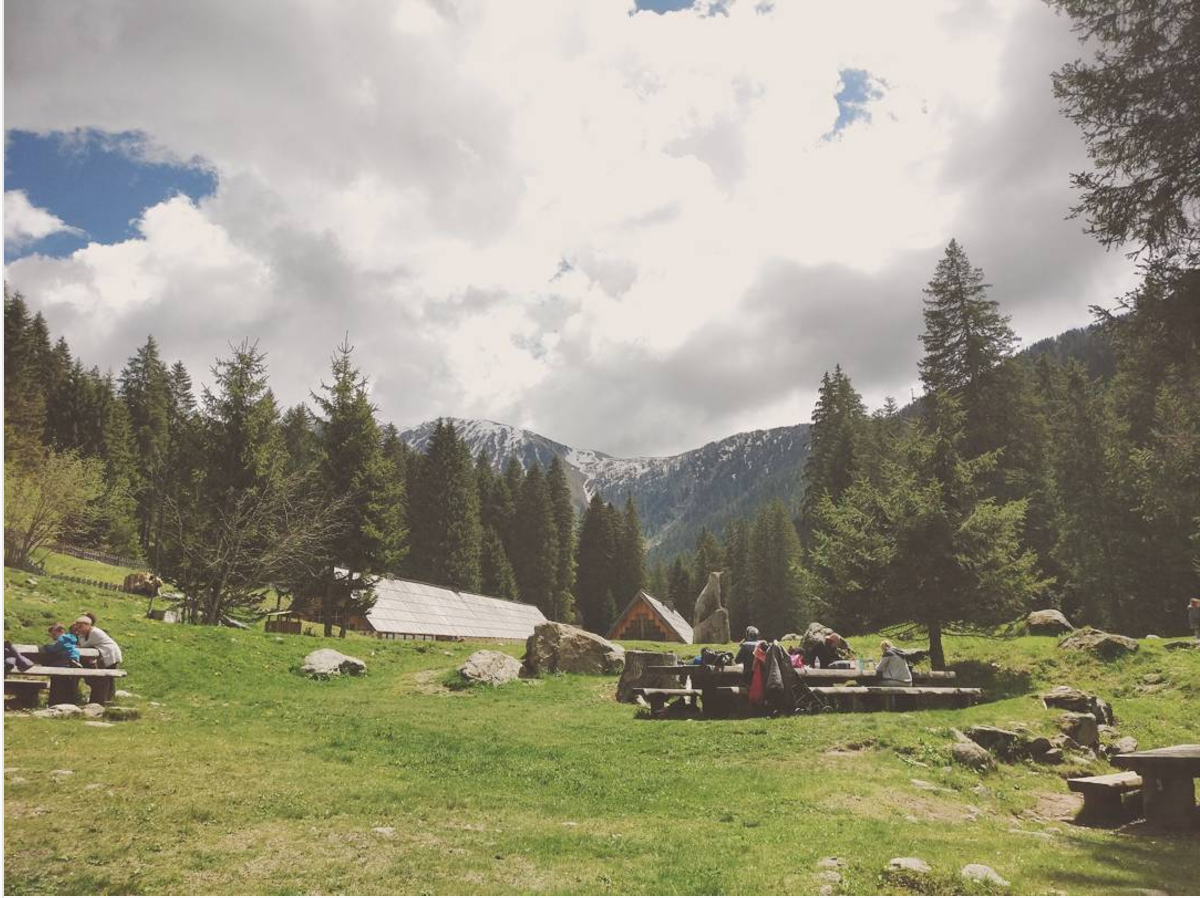 Photo n° 2 de l'avis de Alexia.o fait le 26/07/2017 à 09:04