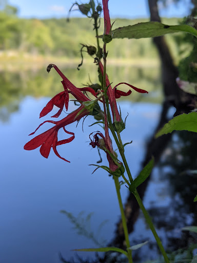 Nature Preserve «Apshawa Preserve», reviews and photos, 4 Northwood Dr, West Milford, NJ 07480, USA