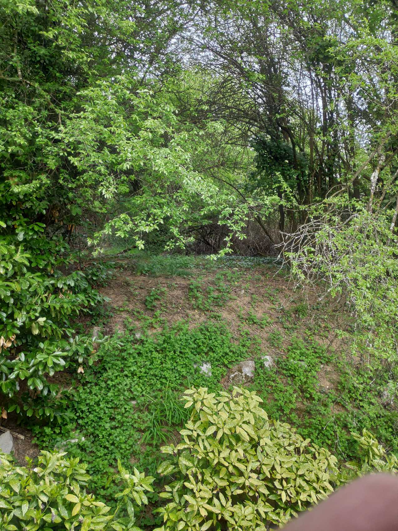 Photo n° 2 de l'avis de mimi.e fait le 19/04/2019 à 16:58