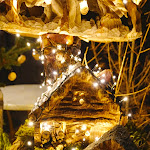 Photo n°1 de l'avis de Khrystyna.y fait le 13/12/2019 à 16:52 sur le  L'asino che vola à Ponte di Legno