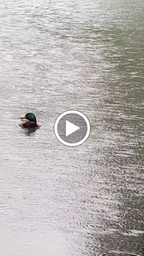 Park «Ernest E. Debs Regional Park», reviews and photos, 4235 Monterey Rd, Los Angeles, CA 90032, USA