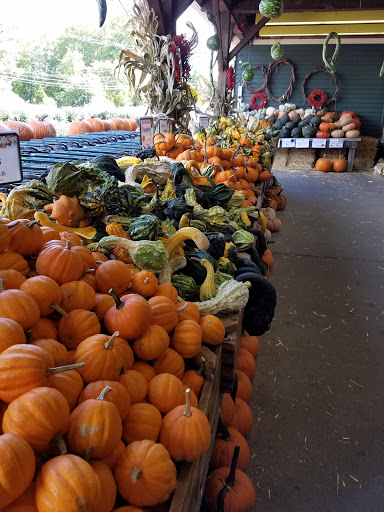 Produce Market «Idylwilde Farms», reviews and photos, 366 Central St, Acton, MA 01720, USA