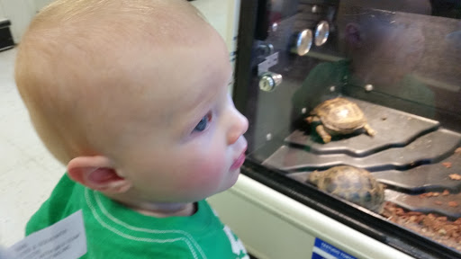 Pet Supply Store «PetSmart», reviews and photos, 2997 Max Ave, Bozeman, MT 59718, USA