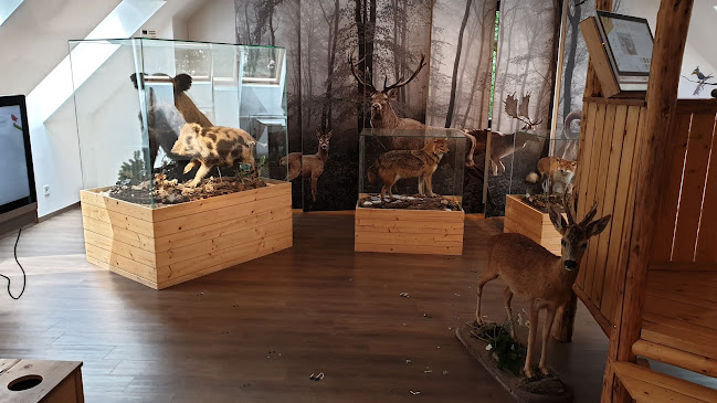 Értékelések erről a helyről: Kőhalmy Vadászati Múzeum, Sopron - Múzeum