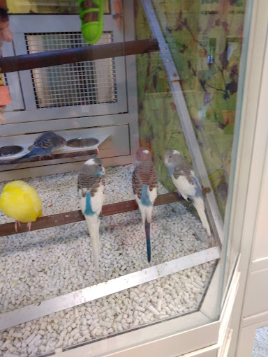 Pet Supply Store «PetSmart», reviews and photos, 73 RHL Blvd, South Charleston, WV 25309, USA