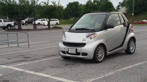 Grocery Store «Food Lion», reviews and photos, 1312 S Main St #4, Mt Airy, MD 21771, USA