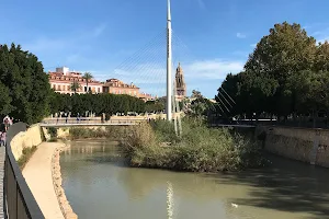 Playa de Murcia Río image