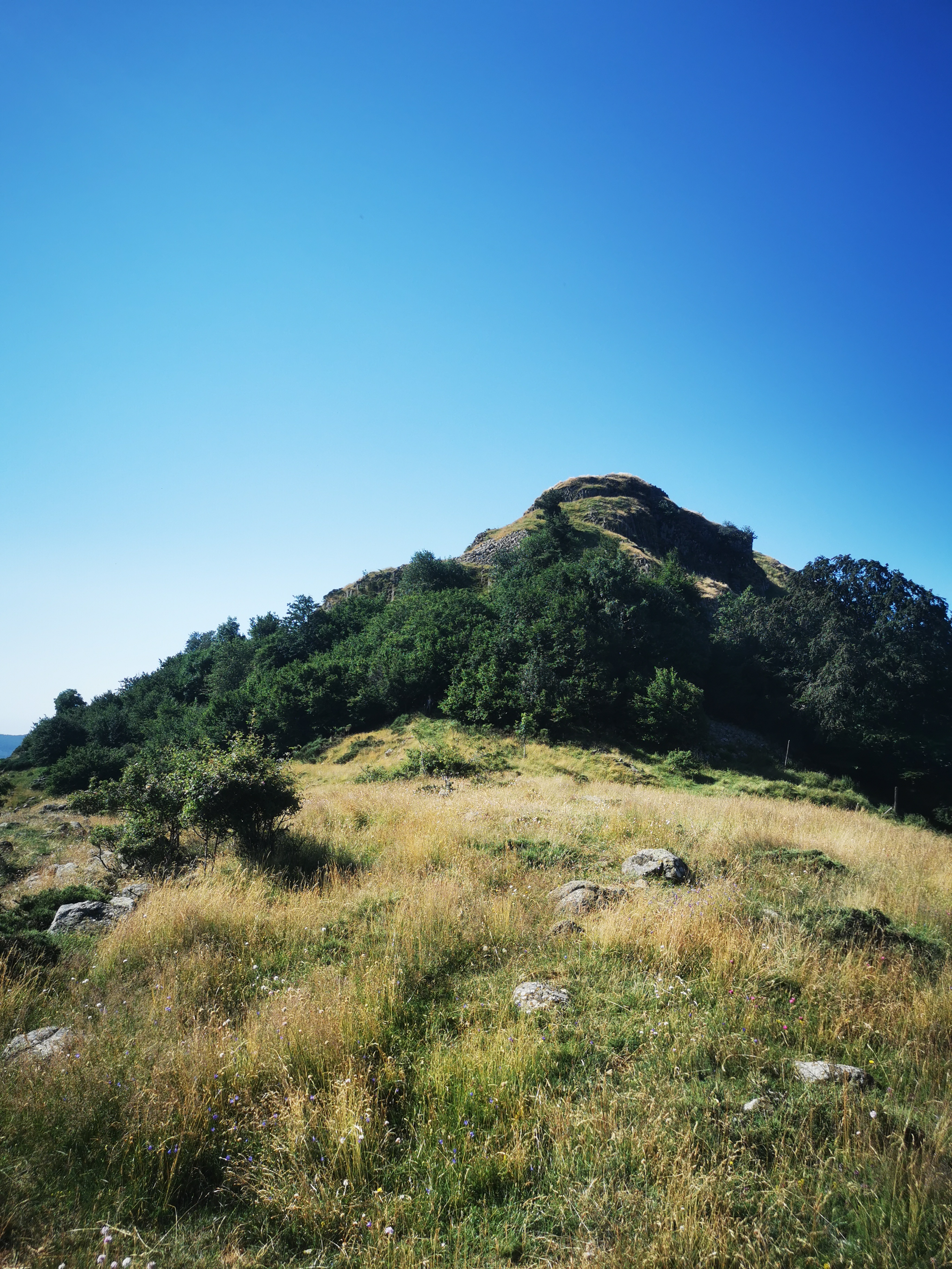 Photo n° 13 de l'avis de Seb. fait le 14/07/2023 à 04:55