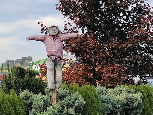 Farm «Bella Organic Farm», reviews and photos, 16205 NW Gillihan Rd, Portland, OR 97231, USA