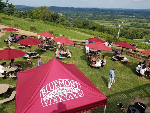 Winery «Bluemont Vineyard», reviews and photos, 18755 Foggy Bottom Rd, Bluemont, VA 20135, USA