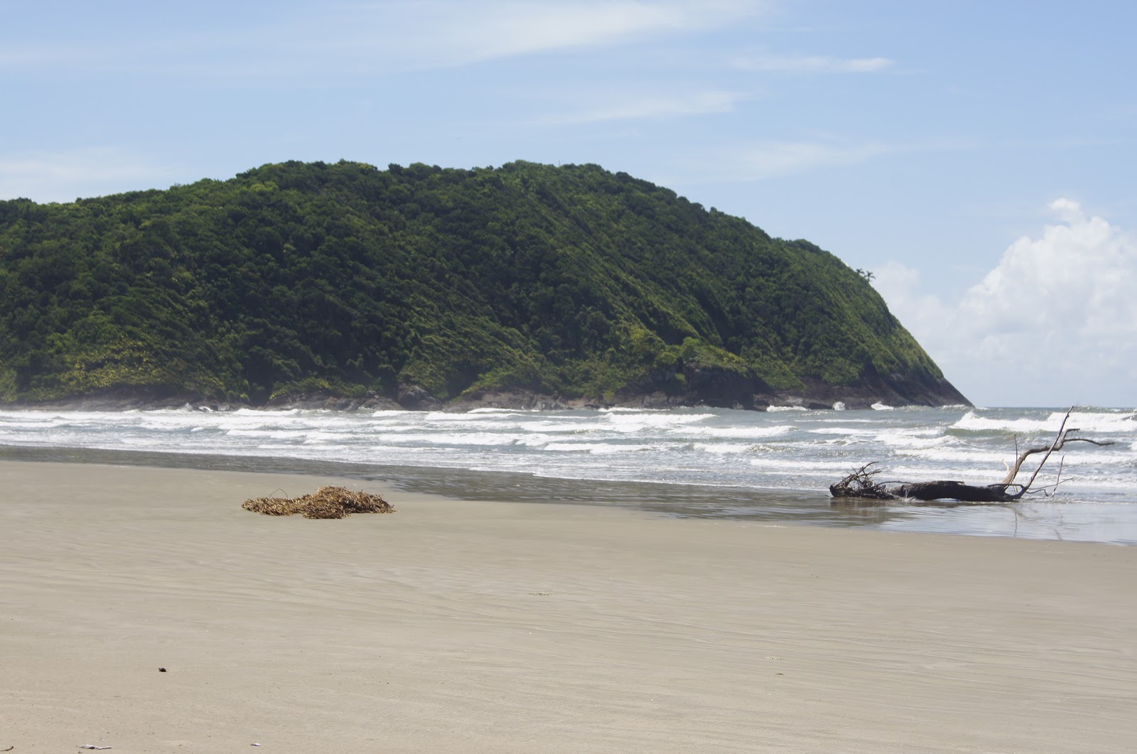 Zdjęcie Plaża Juquiazinho - popularne miejsce wśród znawców relaksu