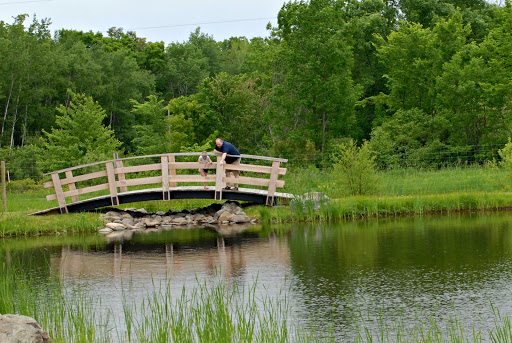 Winery «Dancing Dragonfly Winery», reviews and photos, 2013 120th Ave, St Croix Falls, WI 54024, USA