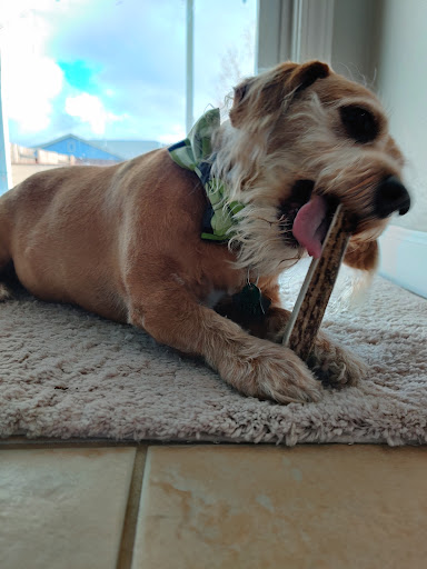 Pet Supply Store «Petco Animal Supplies», reviews and photos, 1320 E Lincoln Way p101, Sparks, NV 89434, USA