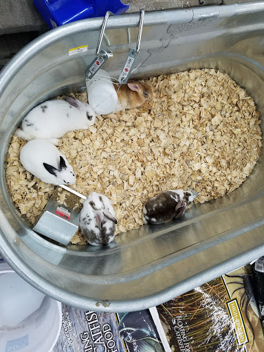 Department Store «Rural King», reviews and photos, 1650 S Main St, Madisonville, KY 42431, USA