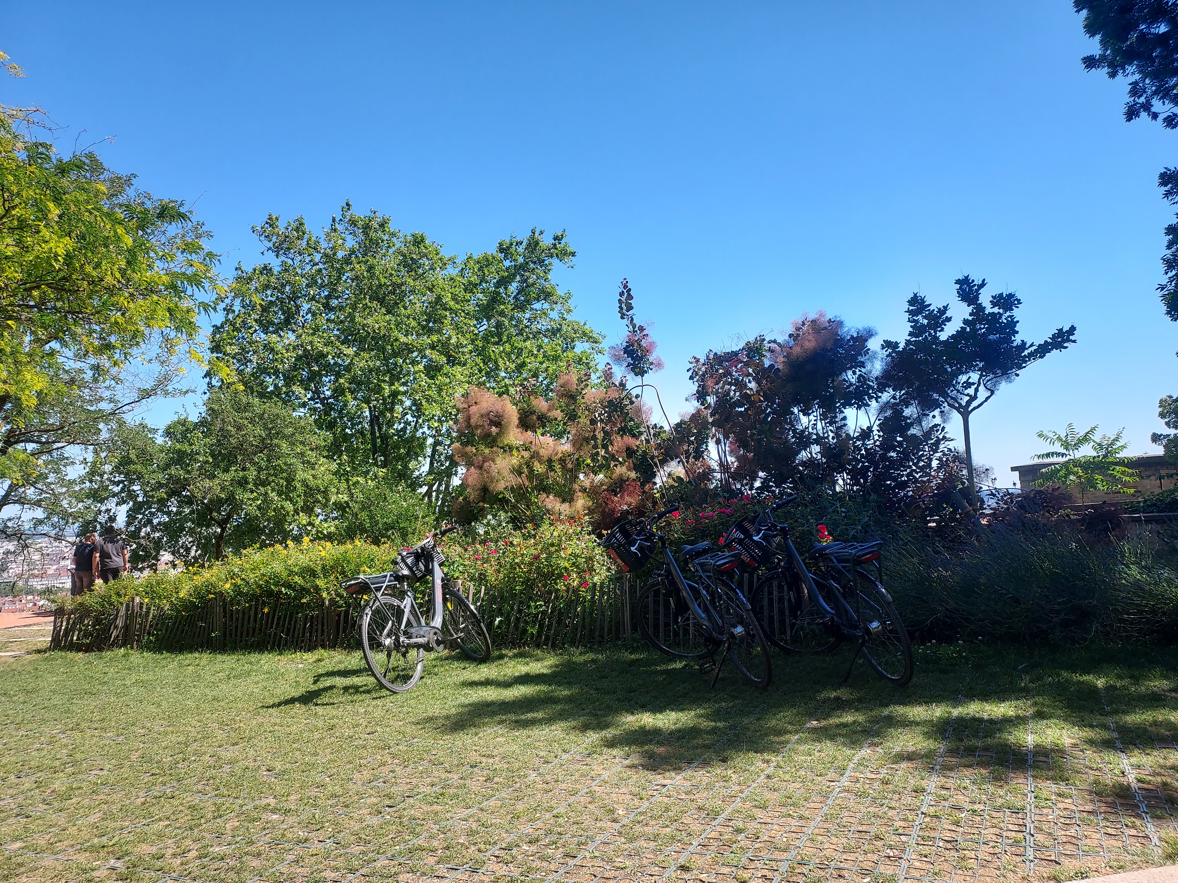 Photo n° 2 de l'avis de Isabelle.a fait le 24/06/2023 à 13:59