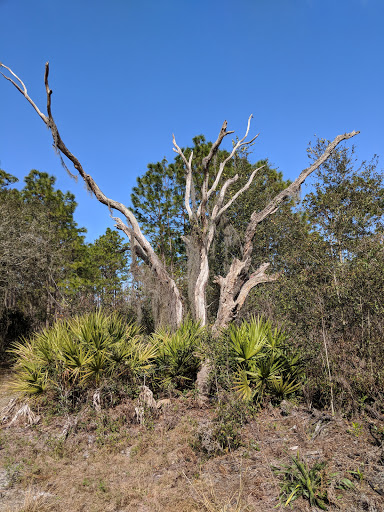 Nature Preserve «Conner Preserve», reviews and photos, 22500 FL-52, Land O Lakes, FL 34637, USA