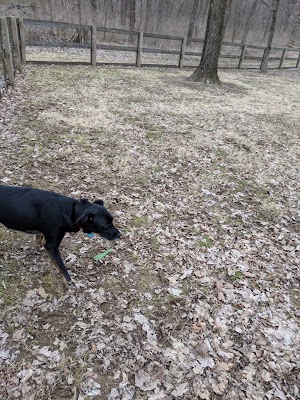 Scout Dog Park - photo 55