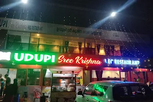 UDUPI SREE KRISHNA VEG RESTAURANT image