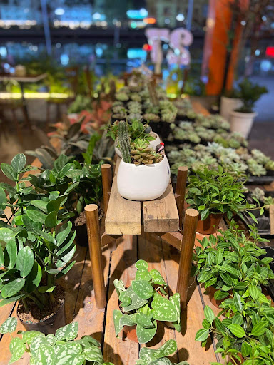 Top 20 quán cafe cho trẻ em Huyện Vĩnh Bảo Hải Phòng 2022