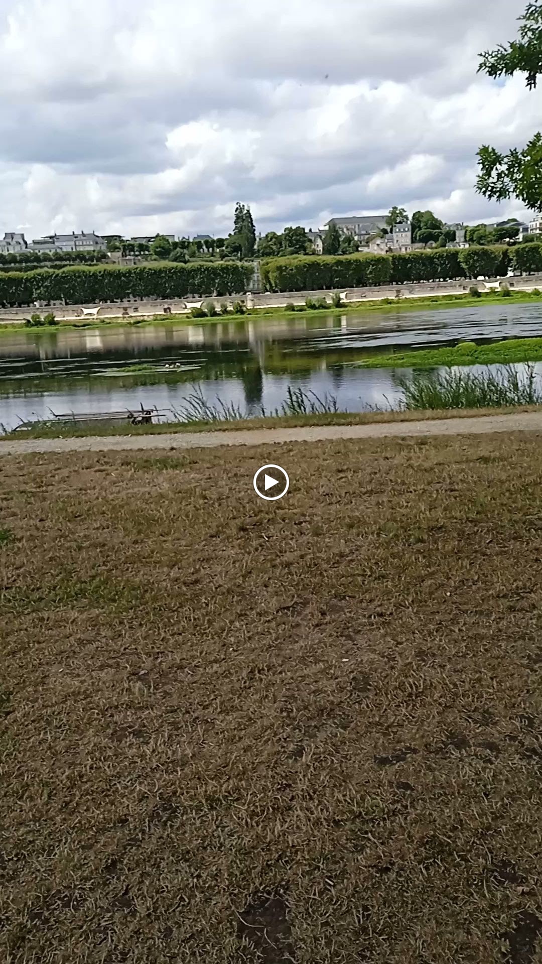 Photo n° 1 de l'avis de kilian..a fait le 25/07/2023 à 15:37