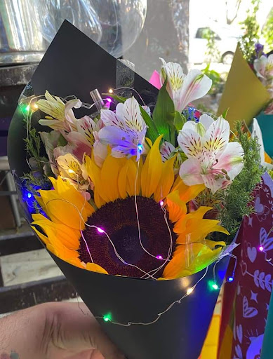 Todo En Flores – Mérida