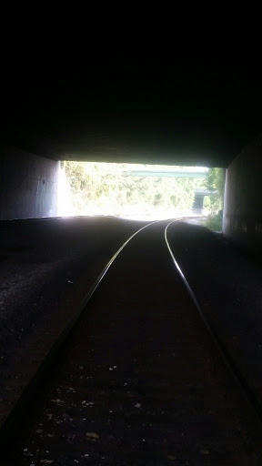 Performing Arts Theater «Columbia Marionette Theatre», reviews and photos, 401 Laurel St, Columbia, SC 29201, USA