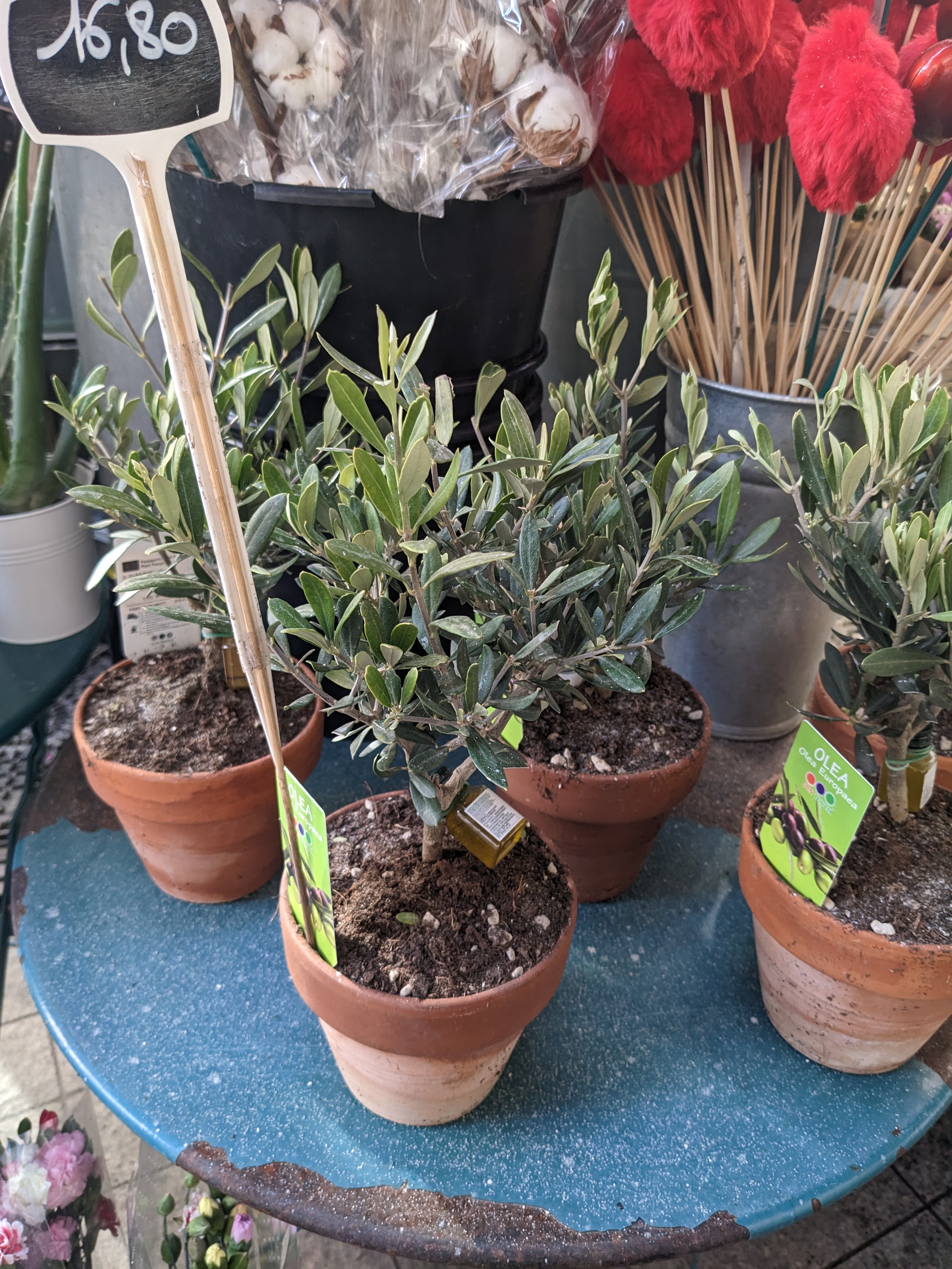 Photo n° 7 de l'avis de Audrey.e fait le 06/04/2023 à 07:32