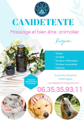 Canidétente à Rognac