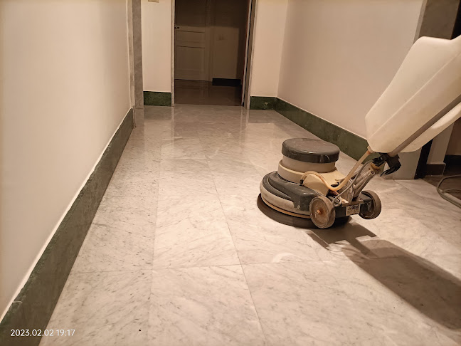 Green Service S.R.L. Impresa di pulizie, sanificazioni, derattizzazione e disinfestazione