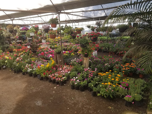 La Eterna Primavera – Ixhuatlancillo