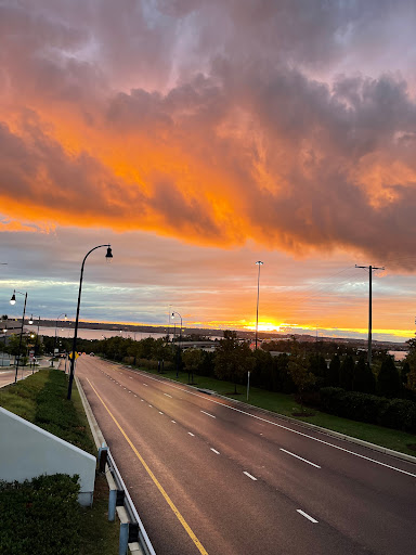 Pet Supply Store «Petco Animal Supplies», reviews and photos, 1331 Hooper Ave, Toms River, NJ 08753, USA