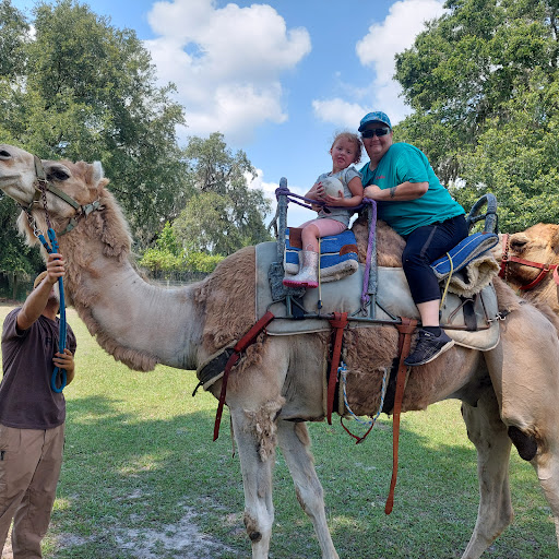 Ranch «Giraffe Ranch», reviews and photos, 38650 Mickler Rd, Dade City, FL 33523, USA