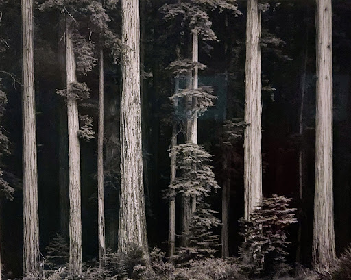 Art Museum «Virginia Museum of Fine Arts», reviews and photos, 200 N Blvd, Richmond, VA 23220, USA