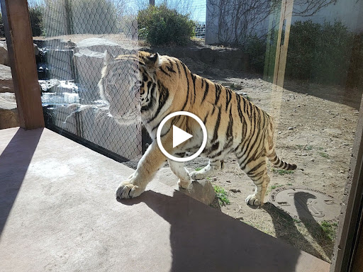 Zoo «Sedgwick County Zoo», reviews and photos, 5555 Zoo Boulevard, Wichita, KS 67212, USA