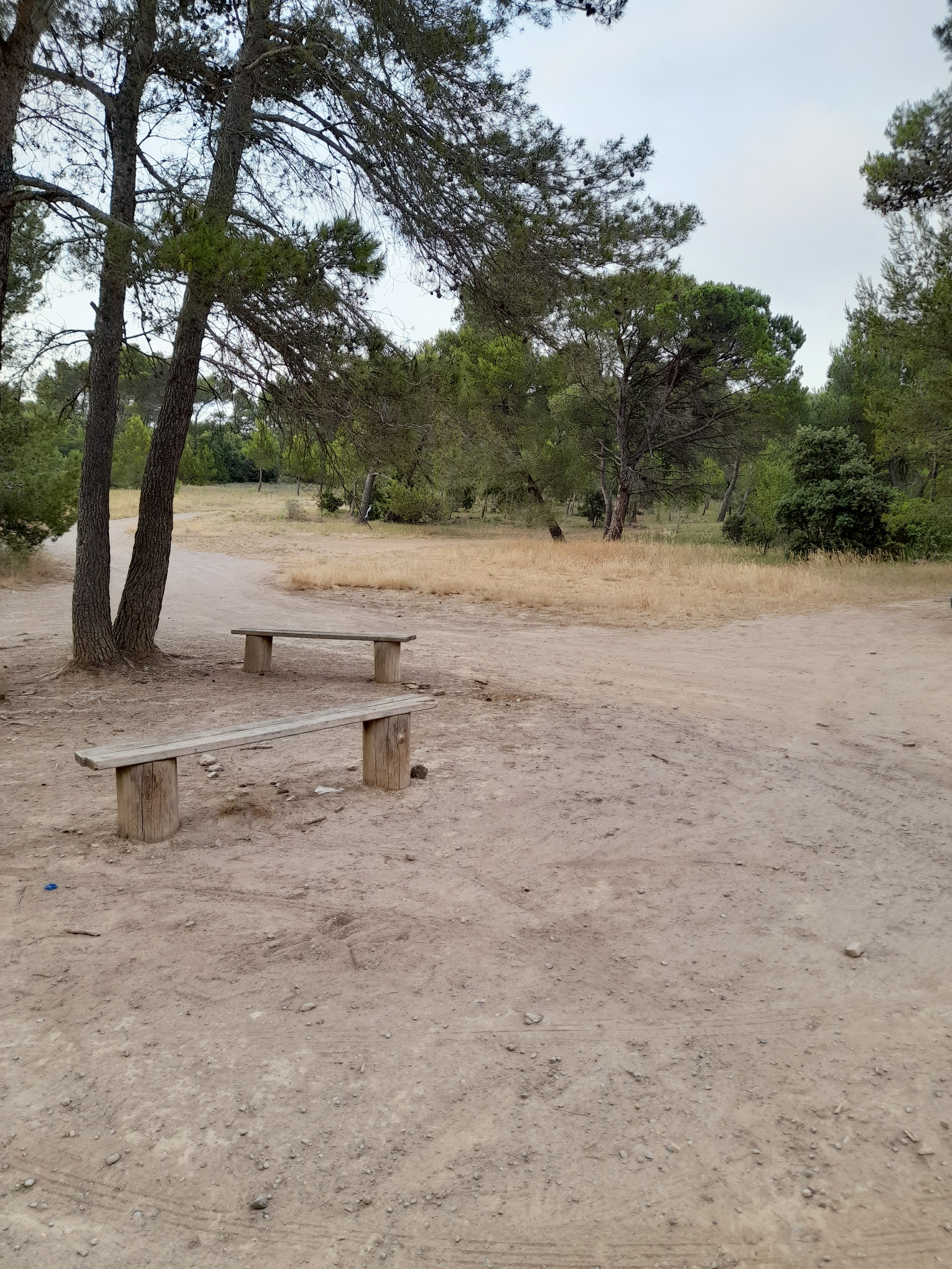 Photo n° 8 de l'avis de Bilbon.A fait le 20/06/2022 à 20:00