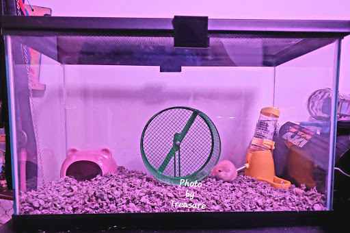 Pet Supply Store «Petco Animal Supplies», reviews and photos, 29560 W Seven Mile Rd, Livonia, MI 48152, USA