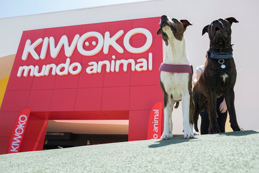 Lugares de adopcion de perros en Sevilla