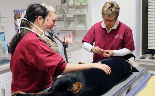 Dr. Friederike Tunkel Fachärztin f. Kleintiere unter Bad Oeynhausen, 