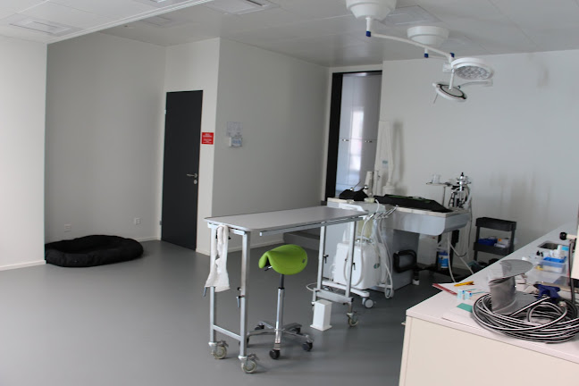 Kleintiermedizinisches Zentrum vet4pet - Einsiedeln