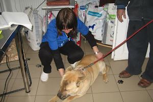 Blebea Valentina, Cabinet Medical Veterinar Si Pensiune Canina image