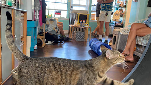 2365 Wilton Dr, Wilton Manors, FL 33305, USA