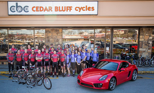 Cedar Bluff Cycles, 9282 Kingston Pike, Knoxville, TN 37922, USA, 