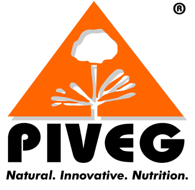Piveg Inc