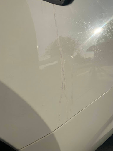 Toyota Dealer «Freeman Toyota», reviews and photos, 2875 Corby Ave, Santa Rosa, CA 95407, USA