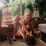 Photo n°1 de l'avis de André.o fait le 23/07/2018 à 16:00 sur le  Miscillo Sapori à Serrara Fontana