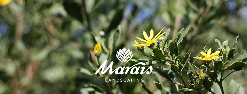 Marais Landscaping